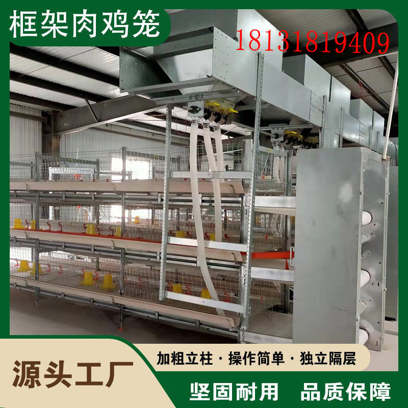 三层立式肉鸡笼全自动框架肉鸡笼鸡舍养殖厂用鸡笼子镀锌铁丝笼子