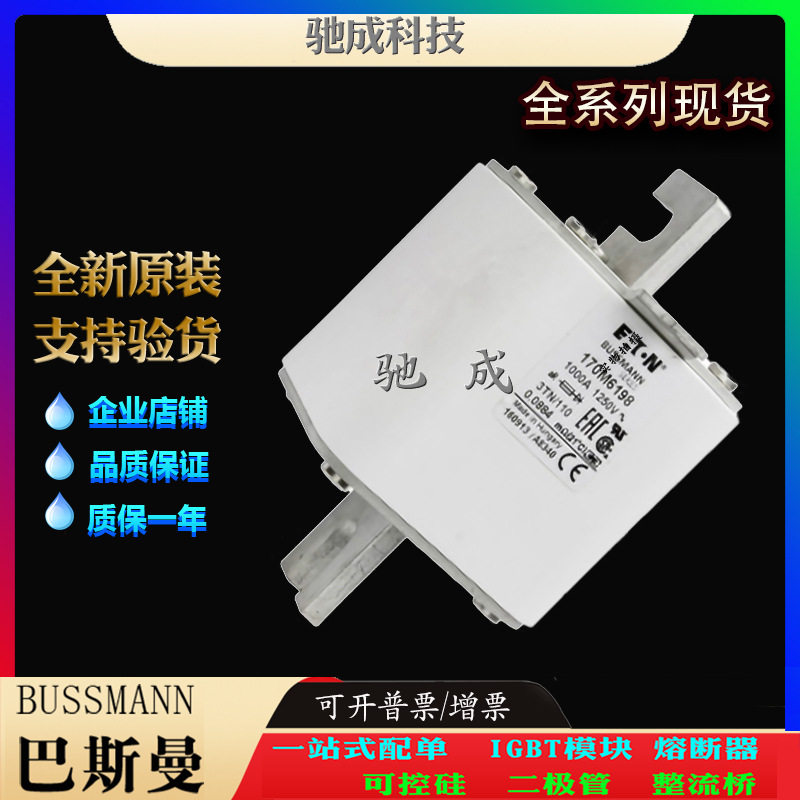 巴斯曼170M6201 170M6202 170M6203 销售供应厂价销售 低压保险丝