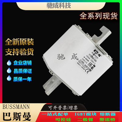 巴斯曼170M6201 170M6202 170M6203 销售供应厂价销售 低压保险丝