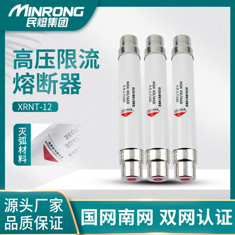 高压限流熔断器成套箱变保险管丝XRNT-10/12KV高分断能力PT风电用