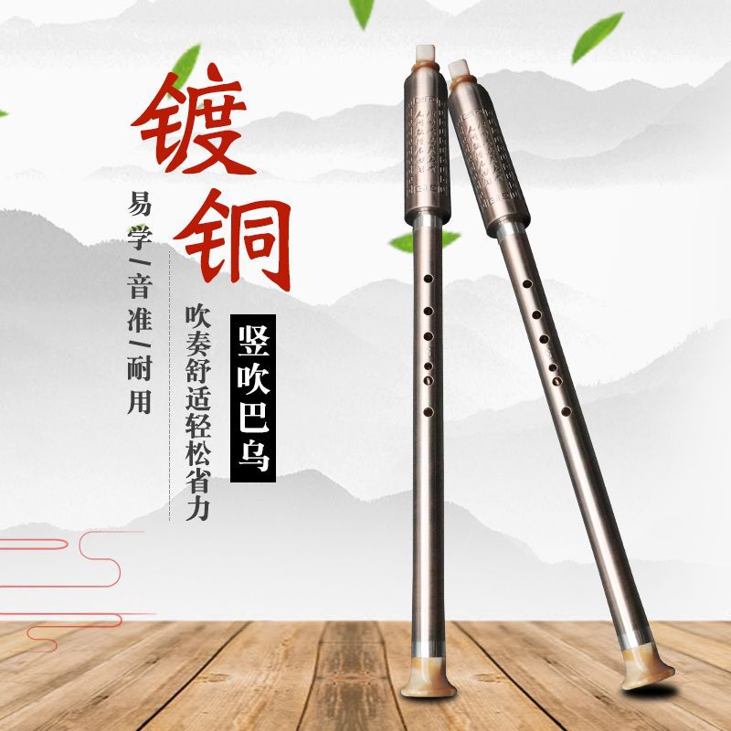 竖吹镀铜树脂巴乌儿童小学生成人初学者入门级F调G调吹奏乐器