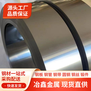 供应Cr20Ni35电热合金带Cr20Ni35镍铬合金带材