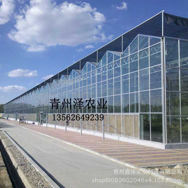 海南海口玻璃温室  海南玻璃温室工程 农业种植温室大棚