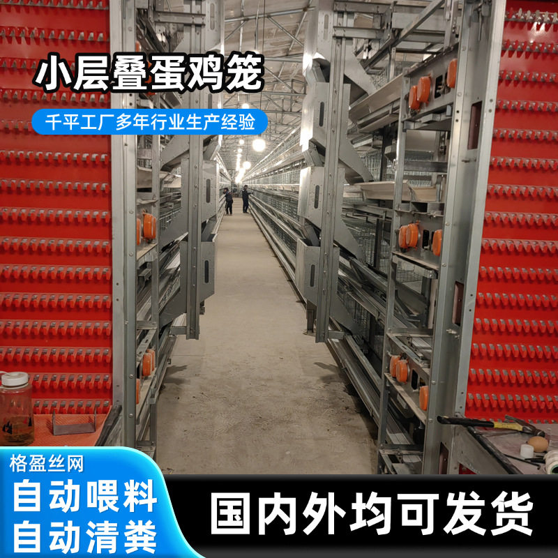全自动养殖设备H型层叠式蛋鸡笼养鸡场小层叠鸡笼三层四层蛋鸡笼