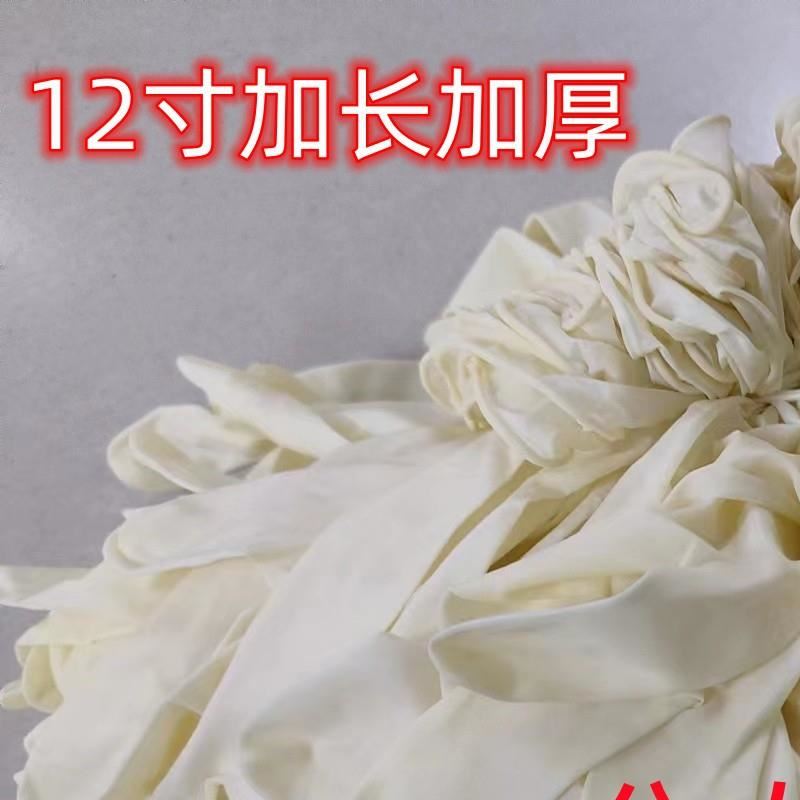 厂家12寸一次性乳胶手套加长加厚高弹贴手防水水产采摘农业环卫餐