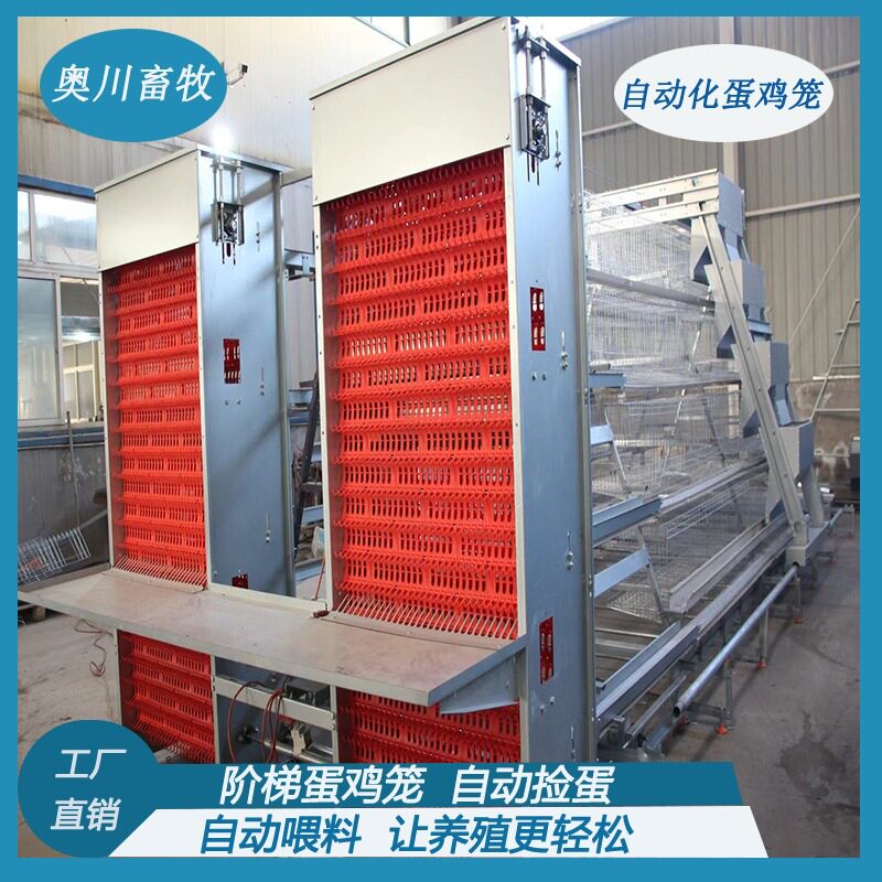 定制wow蛋鸡笼多层阶梯全自动清粪捡蛋喂料加背负式喂料机捡蛋鸡