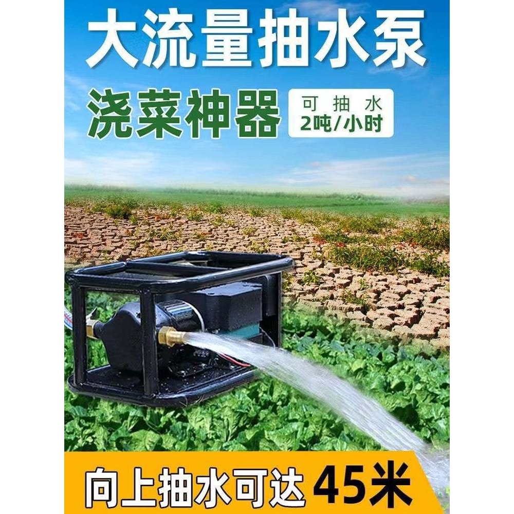 农用大功率充电式浇菜抽水泵锂电池浇菜神器农田灌溉浇水机垒德株