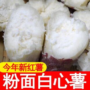 白心红薯农家老品种红苕粉糯白瓤地瓜山芋板栗薯番薯9斤整箱蔬菜