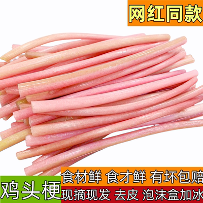 鸡头梗新鲜湖北农家菜洪湖特产蔬菜非藕尖四斤芡实梗刺梗包邮
