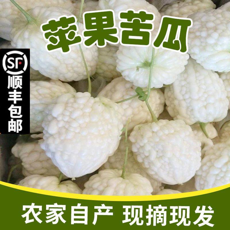 苹果苦瓜新鲜白玉苦瓜现摘现发脆嫩水果苦瓜生吃不苦农家自种,水产肉类/新鲜蔬果/熟食,其它,淘宝优惠券,粉丝福利购,淘宝优惠卷