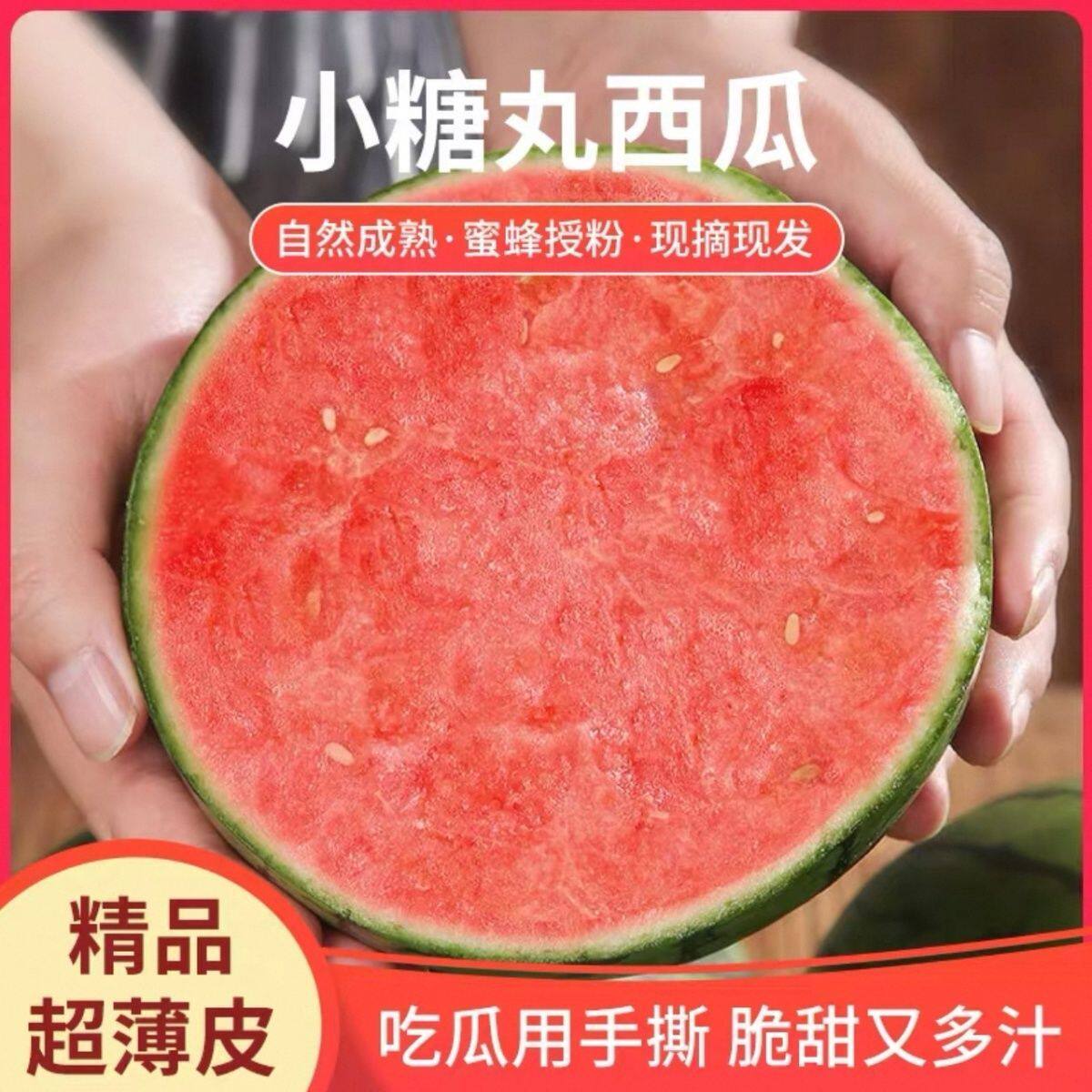 剥皮小西瓜薄皮产地正宗2k薄皮西瓜小糖丸西瓜一整箱手剥