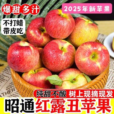 云南水果昭通高原苹果脆甜苹果汁多味甜整箱红露苹果昭通苹果包邮