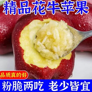 【年货送礼】精品花牛苹果花牛果大果当季水果现货彩箱装花牛苹果