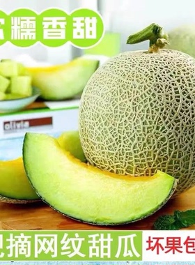 正宗网纹瓜冰淇淋网纹蜜瓜绿色应季新鲜水果薄皮甜瓜密瓜网格脆甜