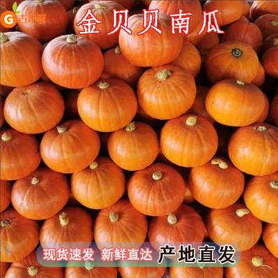 顺丰新鲜金贝贝南瓜正宗板栗味惠和金粉一号红南瓜粉面甜宝宝辅食