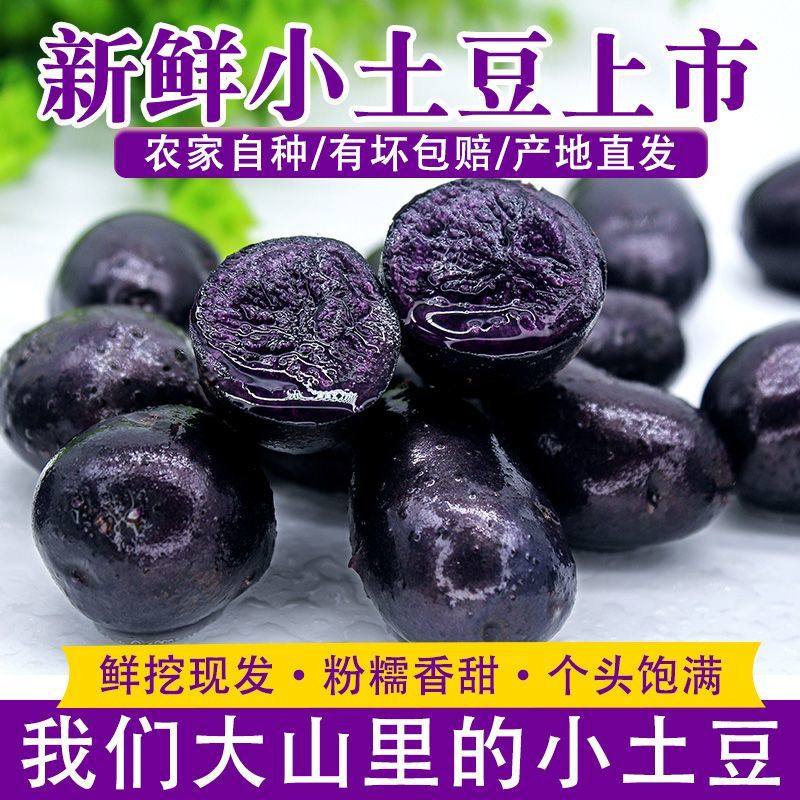 紫土豆黑土豆黑美人紫色马铃薯黑洋芋花青素新鲜蔬菜农家自种包邮