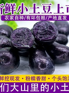 紫土豆黑土豆黑美人紫色马铃薯黑洋芋花青素新鲜蔬菜5斤农家自种9