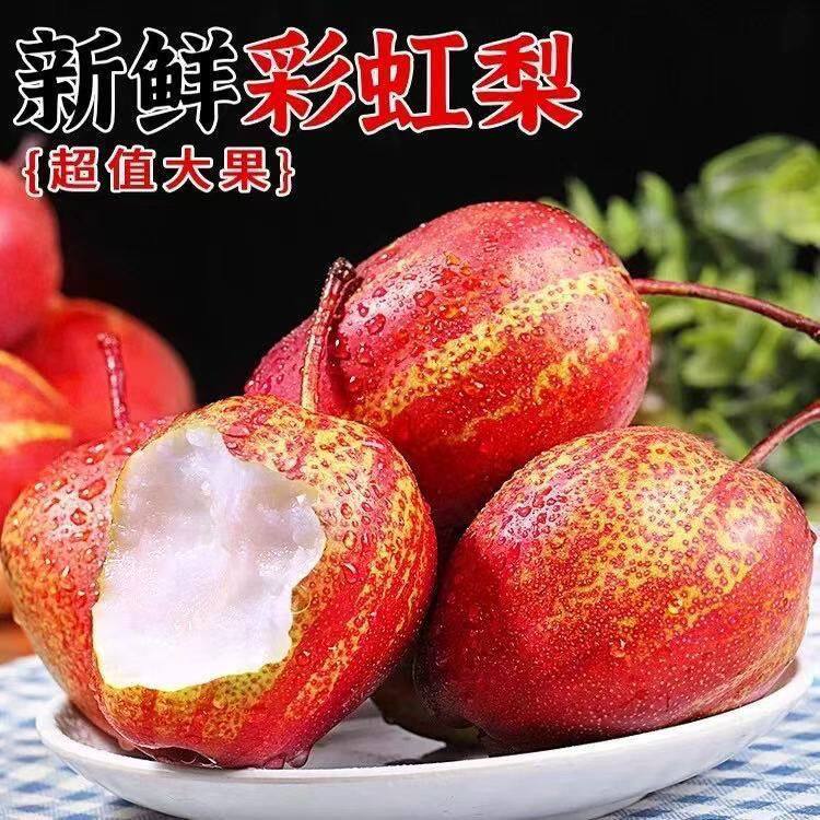 正宗薄皮新鲜彩虹梨当季水果红皮酥梨酥脆香梨梨子孕妇包邮一整箱