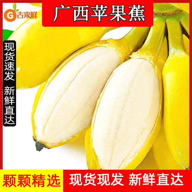 广西苹果蕉新鲜香蕉9斤自然熟应当季水果小香芭蕉小米蕉整箱包邮5