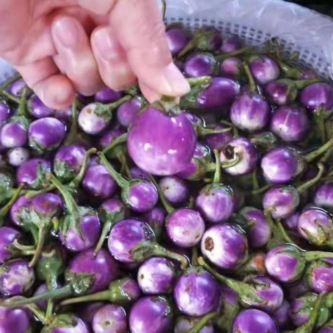 生吃绿色紫色小茄子蔬菜新鲜小拇指咖喱茄现摘应当季网红吃播蔬菜