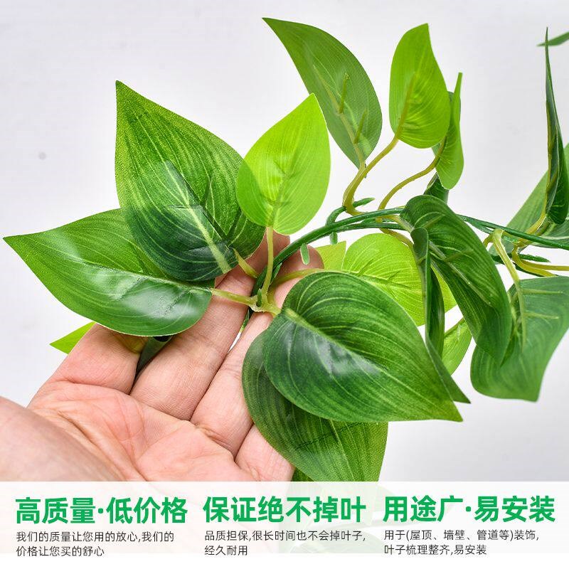 速发is风墙面壁挂装饰品小挂件墙壁卧室房间墙上遮丑藤蔓绿色植物