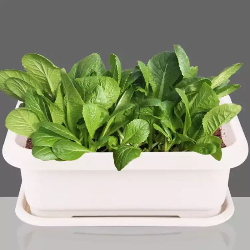 速发植生活种菜盆长条花盆台家庭种菜神器室内特长蔬菜大方形种漫