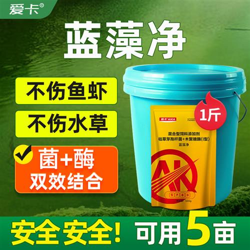 速发蓝藻净蓝藻分解酶分解素鱼虾克塘生物除藻剂蓝藻蟹星药除绿水