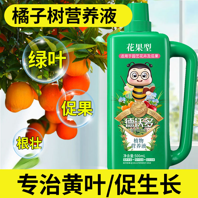 速发桔子树肥料栽结养液红橘子金桔柑橘水溶沃柑盆肥果树开花营果