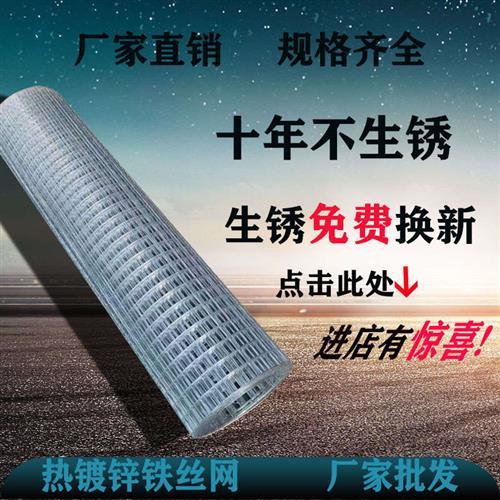 镀锌铁丝网围栏养殖围网铁网格网防鼠拦鸡家禽防护网钢丝网格片密