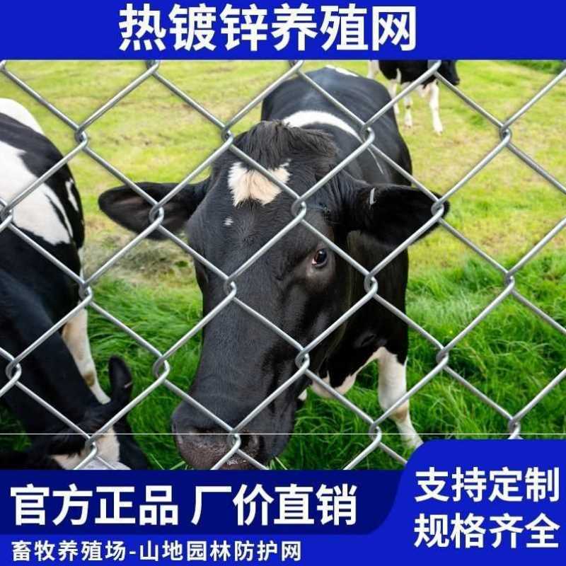 热镀锌钢铁丝网养殖鸡鸭鹅猪牛羊网山地园林果园安全防护网护栏网