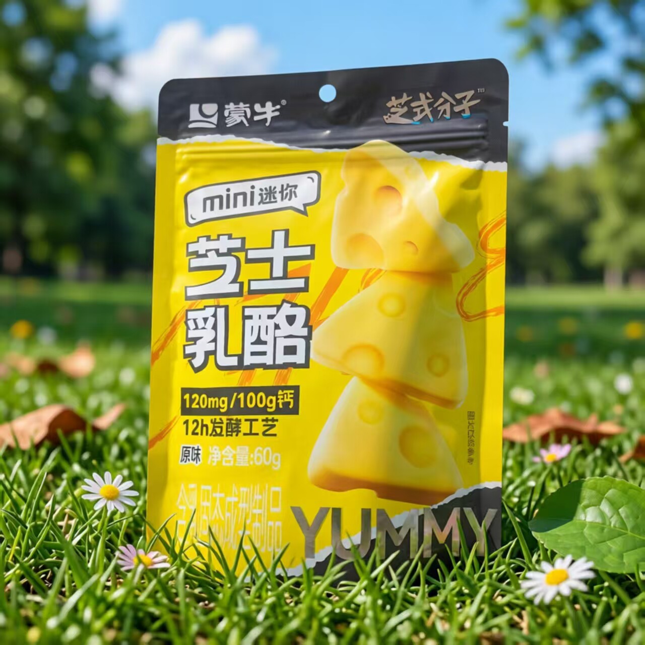 蒙牛芝士乳酪mini迷你原味60g包装开袋即食便携办公室零食