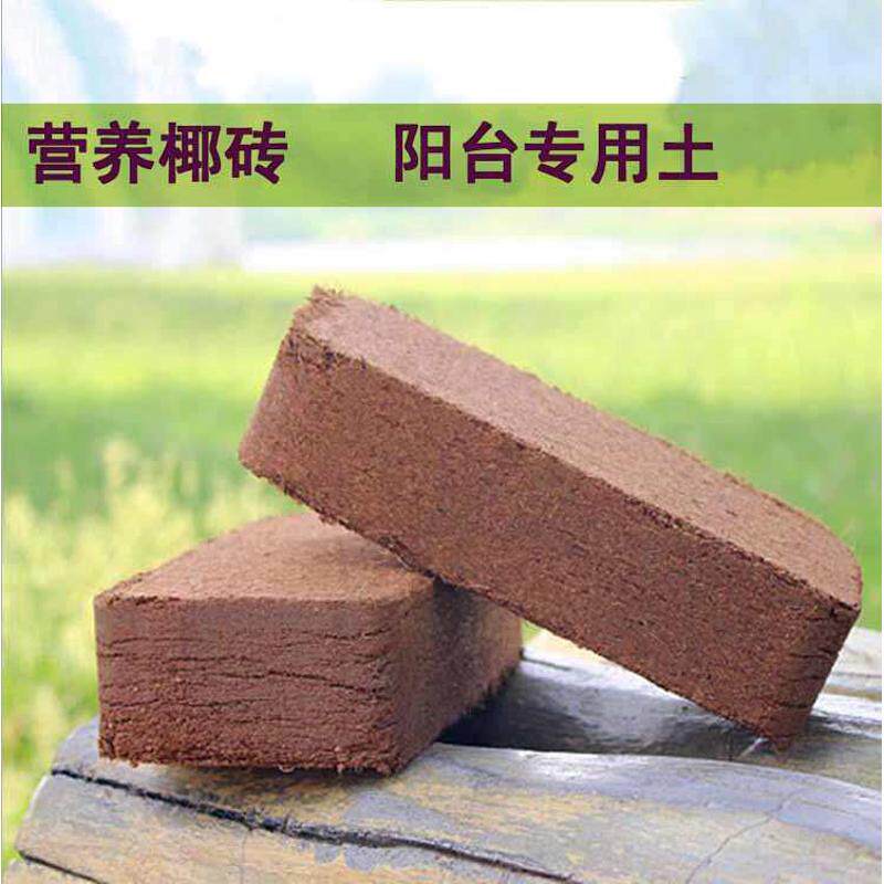 椰砖有机养花肥料营养椰土肉种植土砖通用多椰土土壤植物精品椰糠