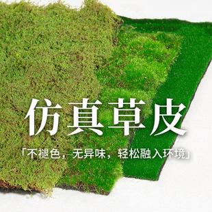 仿真苔藓草皮人造假青苔草坪装 饰遮挡室内地面铺面微观造景植物