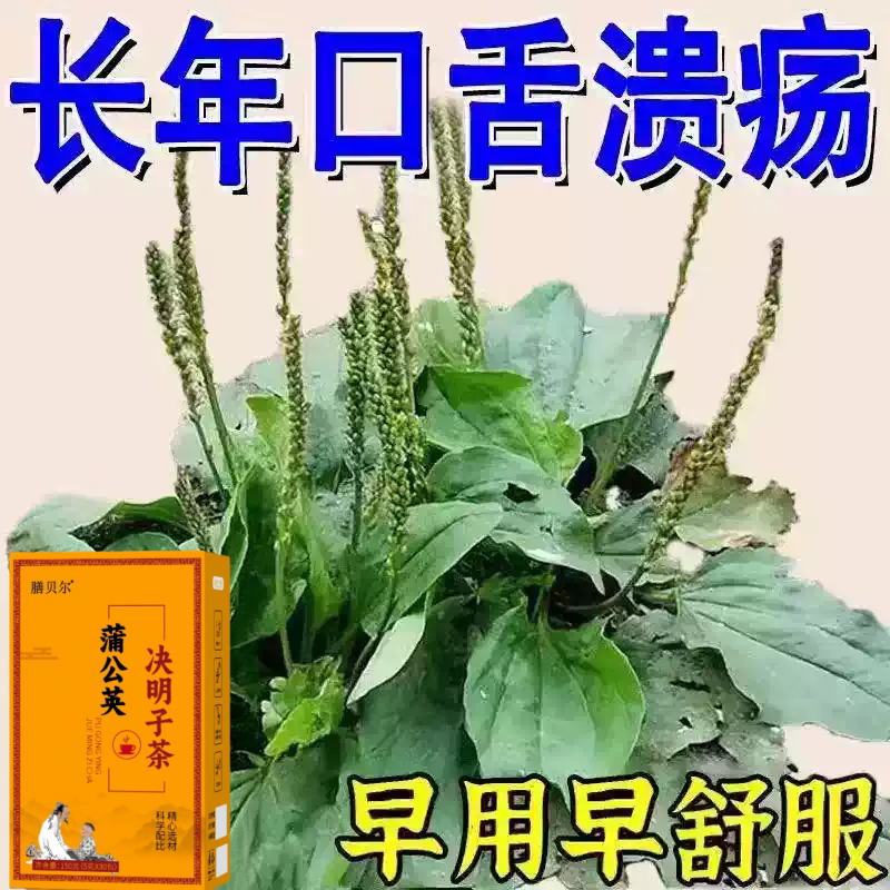 长期火气大口舌生疮上火起泡嘴唇溃烂经常上火蒲公英决明子茶