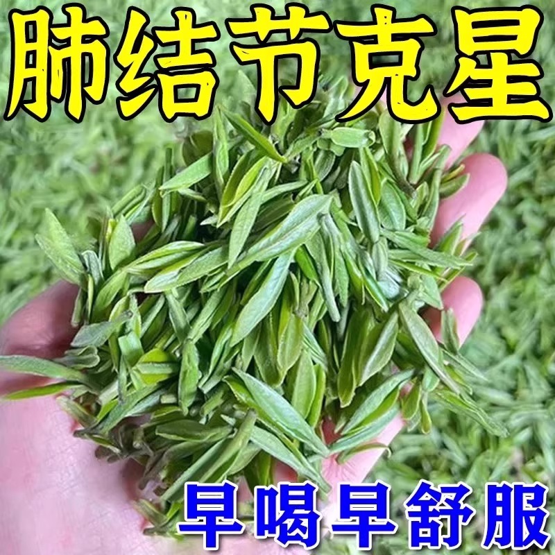 肺结节散结茶清肺润肺养肺茶消除磨玻璃结节的专用去肺结节中茶