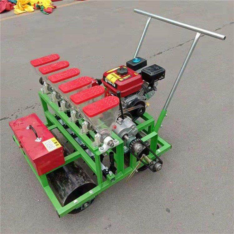 香菜胡萝卜免间苗多行精播机 手推蔬菜播种机 汽油蔬菜播种机,农机/农具/农膜,播种栽苗器/地膜机,淘宝优惠券,粉丝福利购,淘宝优惠卷