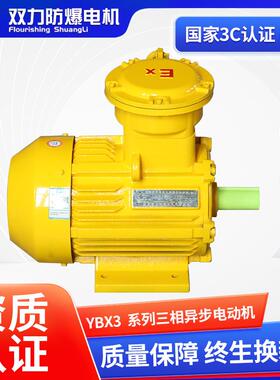 定制防爆三相异步电动机YBX3-315L2-8 YBX3-355S-8全铜高效电机