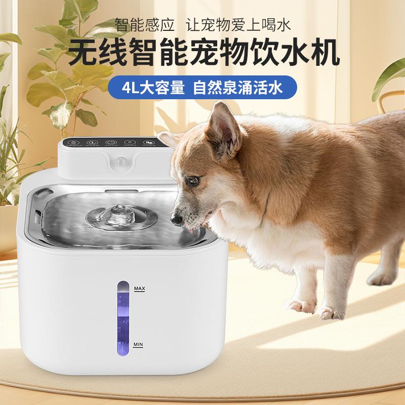 猫咪饮水机自动循环宠物流动饮水器狗狗活水喂水碗过滤喝水猫用品