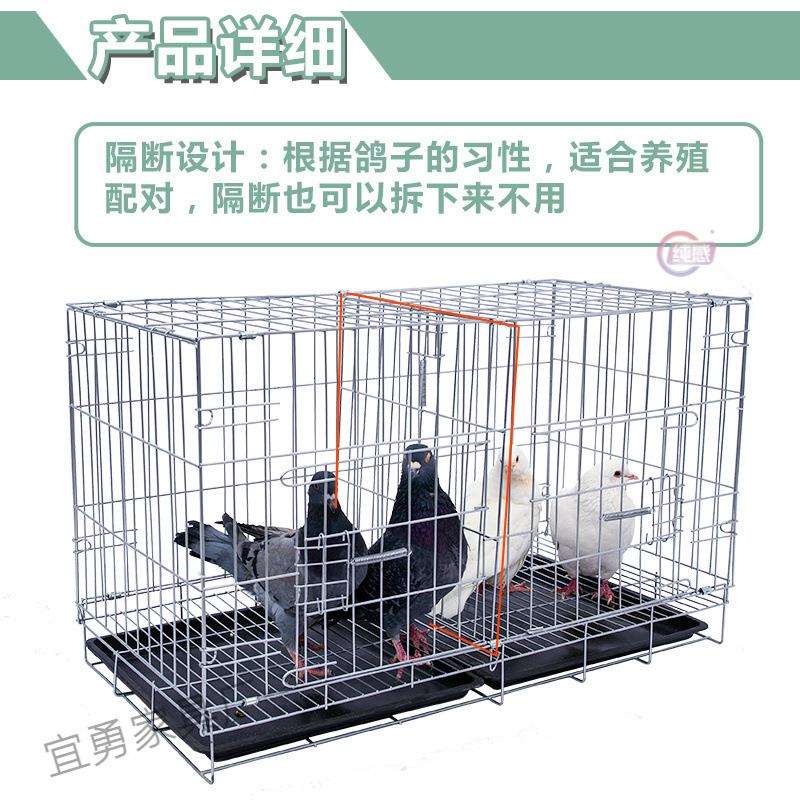 鸽子笼养殖笼鸽子笼子配对笼笼子新型大号繁殖鸽笼包邮鸽子笼家用