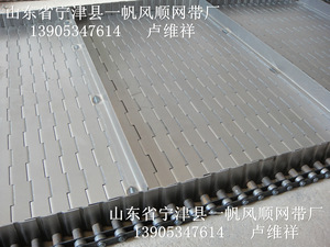 北方大型链板加工制造基地 不锈钢链板输送带 菌类清洗板式链