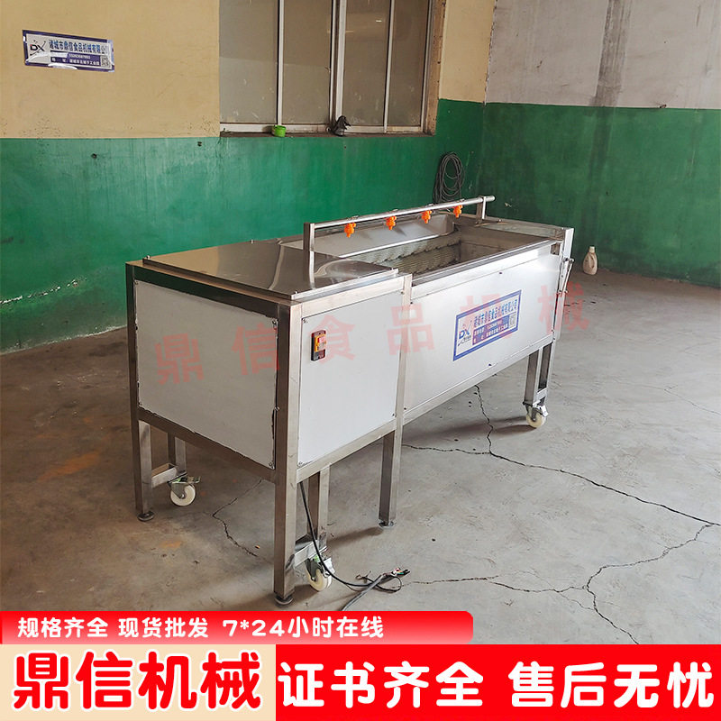多功能毛辊清洗去皮机 不锈钢 小型果蔬脱皮机 毛辊清洗机厂家