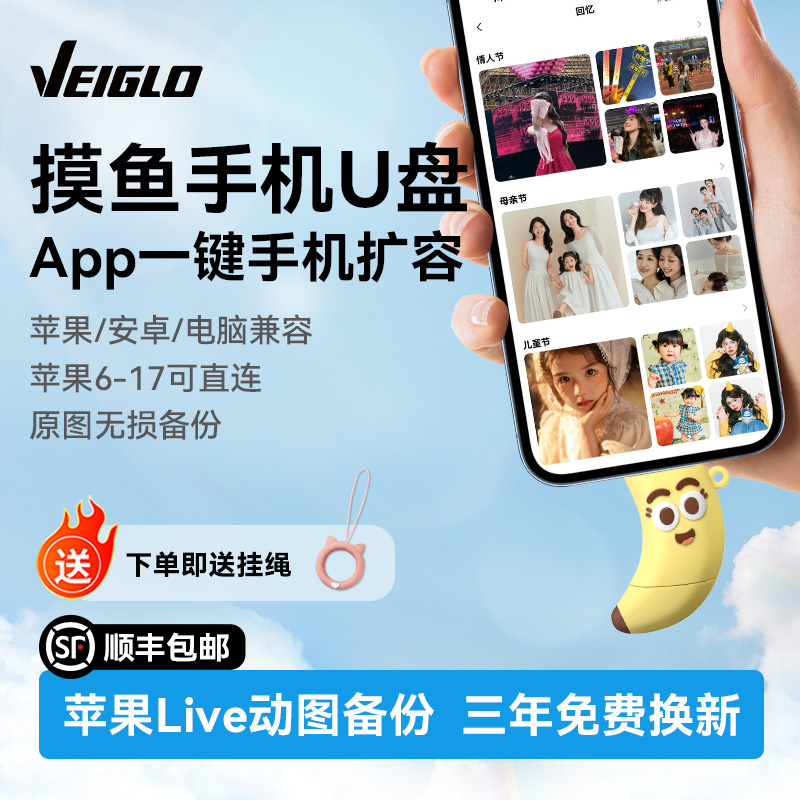 VEIGLO手机U盘typec双接口 苹果照片移动硬盘 电脑两用大容量优盘