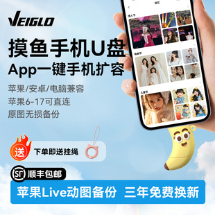 VEIGLO手机U盘typec双接口 电脑两用大容量优盘 苹果照片移动硬盘