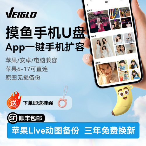 VEIGLO手机U盘typec双接口 苹果照片移动硬盘 电脑两用大容量优盘