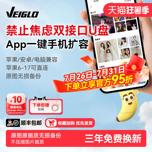 VEIGLO手机U盘typec双接口 苹果照片移动硬盘 电脑两用大容量优盘