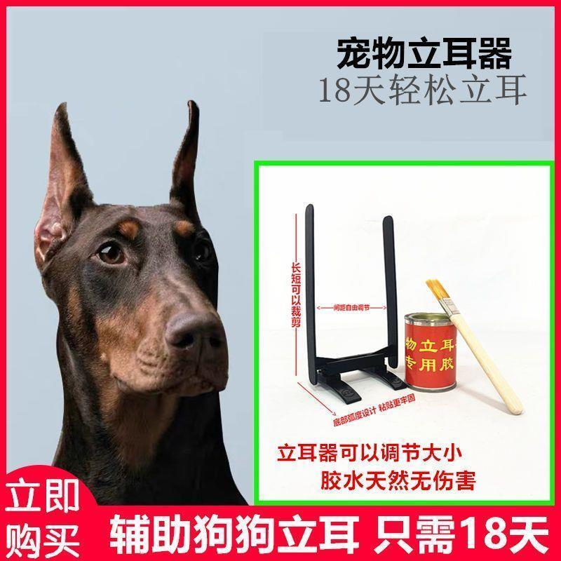 狗狗立耳神器德牧柯基杜宾马犬莱州红卡斯罗博美幼犬狗立耳器胶水