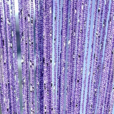 Door String Curtain 100cmX200cm Shiny Tassel Flash Line door