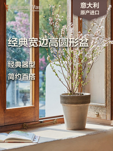 EV陶盆进口意式天然陶土盆宽边高圆盆透气透水防水大号花盆家用