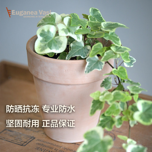 EV宽边经典意大利产陶盆