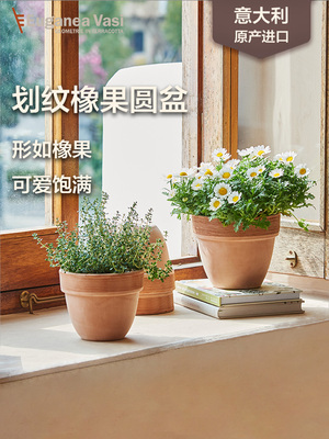 EV陶盆进口陶土意式画纹橡果盆透气透水防水可爱情绪稳定花盆家用